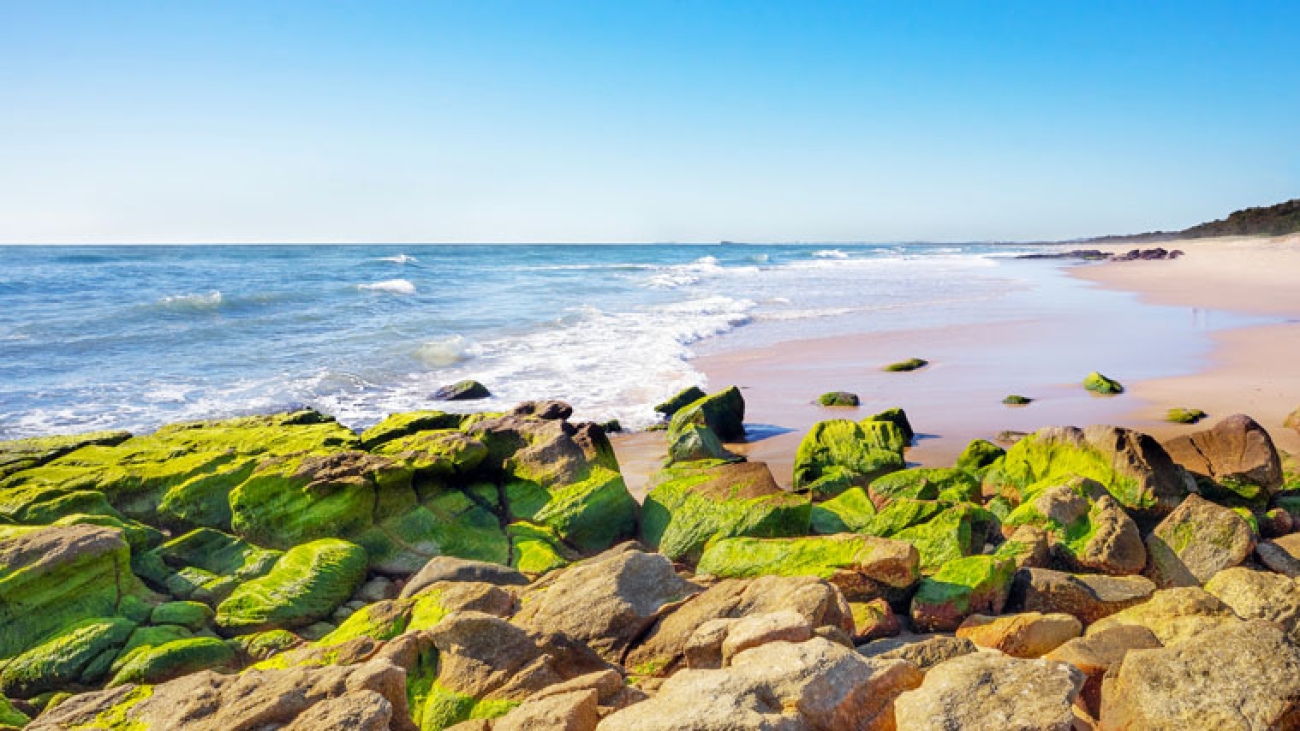 Sustainability-reporting-trend-AUS