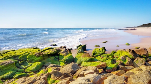 Sustainability-reporting-trend-AUS