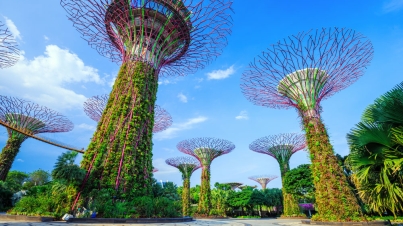 Singapore_Reporting_Trends01